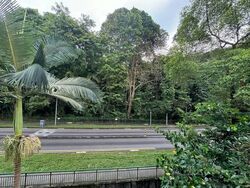 Hindhede Drive (D21), Terrace #558422301